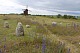 Gettlinge gravefield, Mörbylånga
Graveyards and windmills are very common in the Word Heritage The Agricultural Landscape of Southern &Ouml;land.
Heritage
Eva Åkerstedt