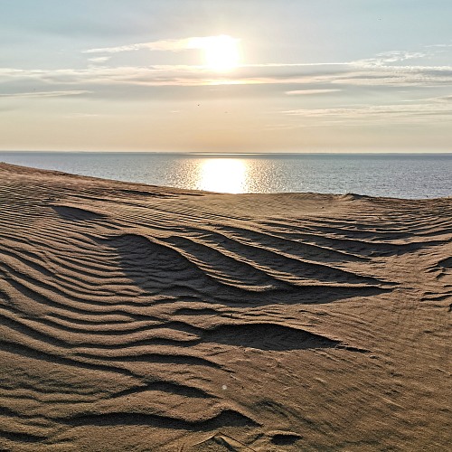 Dunes in Curonian Spit National Park
Sunrise in the dunes

Juras Jankevicius